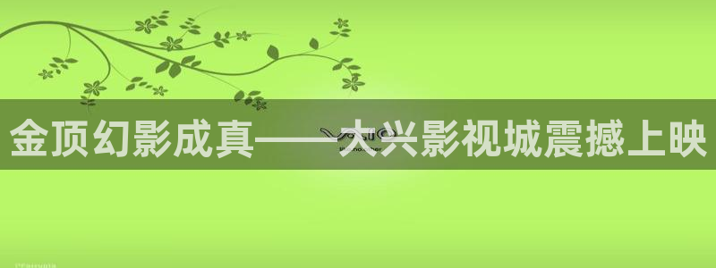 金桔tv