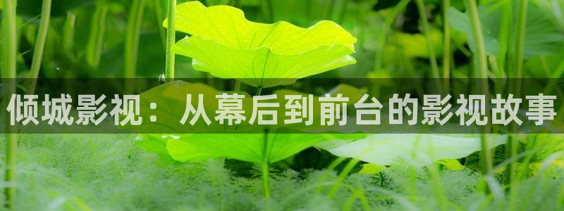 金桔影视哪里下载：倾城影视：从幕后到前台的影视故事