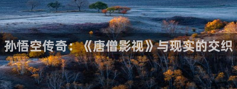 金桔视频大全