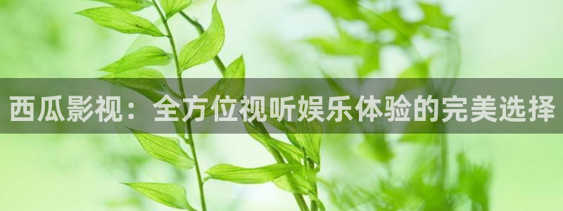 金桔柠檬汁视频
