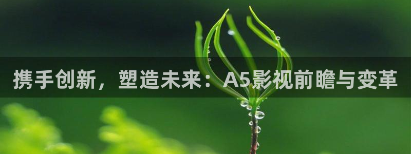 金桔视频下载