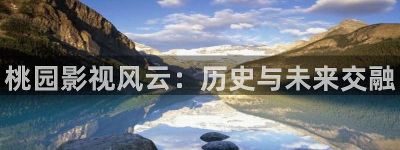 金桔tv