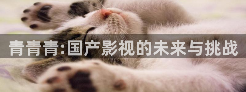 金桔影视app：青青青:国产影视的未来与挑战