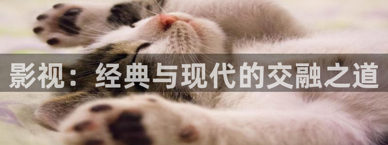 金桔影视：影视：经典与现代的交融之道