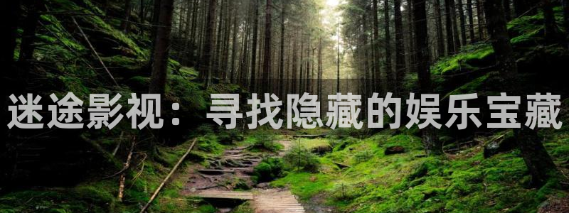 金桔直播视频观看：迷途影视：寻找隐藏的娱乐宝藏